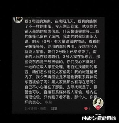 南阳迷笛爆料最新消息,音乐盛宴即将启幕，精彩阵容抢先看！